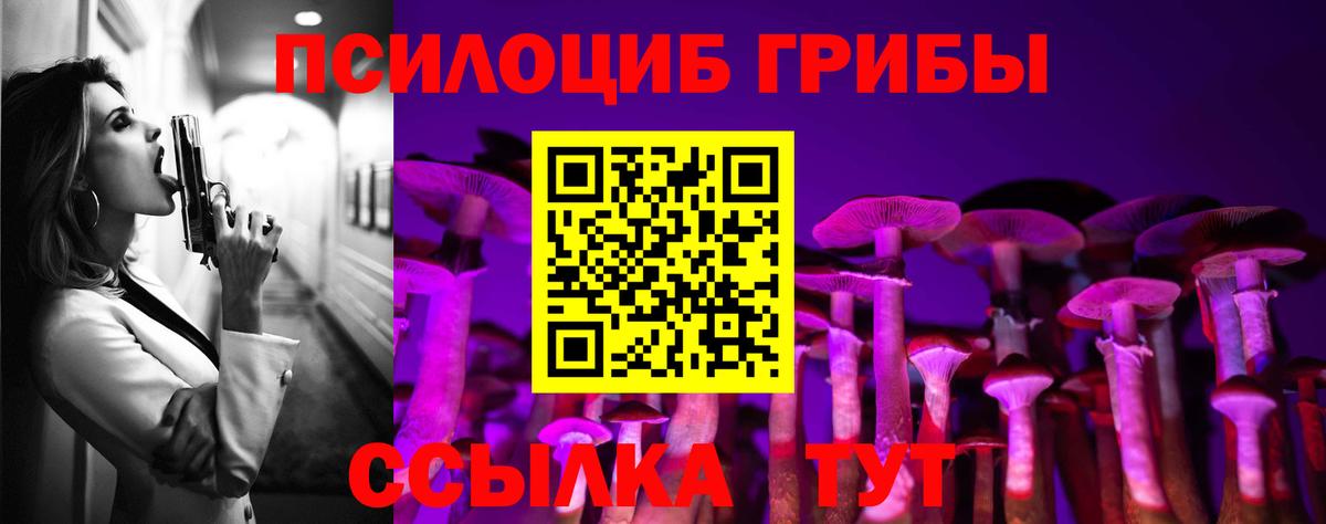 Галлюциногенные грибы прущие грибы  Псилоцибиновые грибы прущие грибы  Вход с VPN  Владимир 
